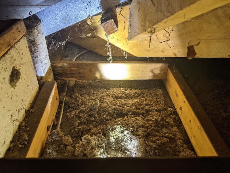 Rockypest pest control work in Rockingham