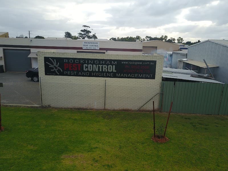Rockypest pest control work in Rockingham