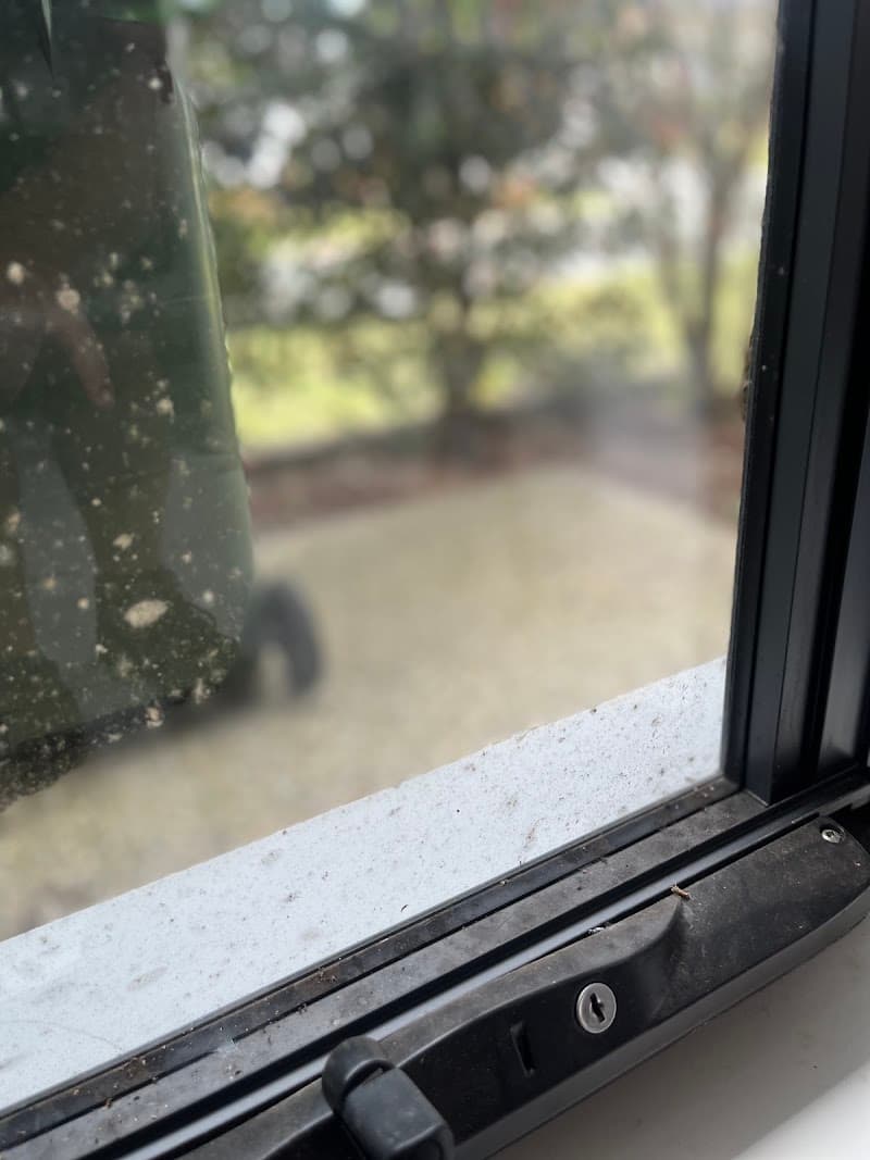 Ron Thomas Window Cleaning window cleaning work in Mount Gravatt East