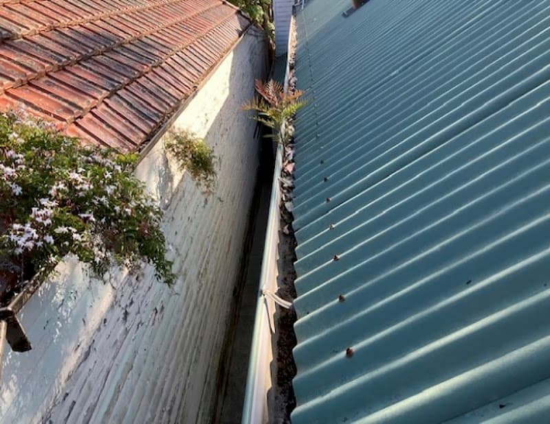 Roof and Gutter Cleaning Sydney gutter cleaning work in Haberfield