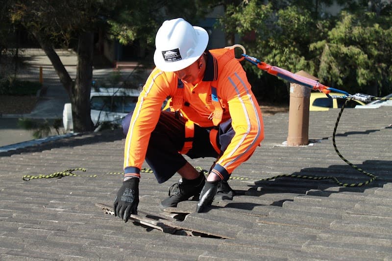 Roof and Gutter Cleaning Sydney gutter cleaning work in Haberfield
