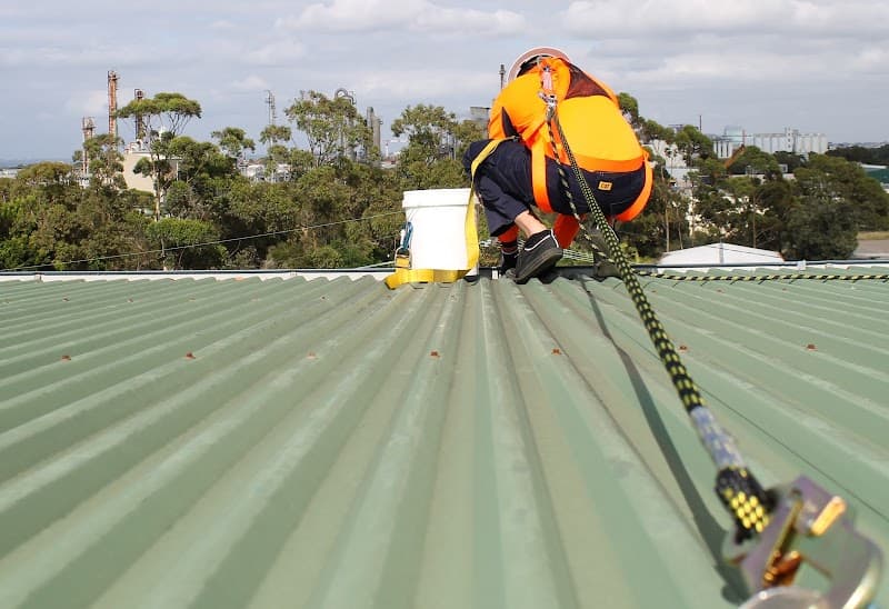 Roof and Gutter Cleaning Sydney gutter cleaning work in Haberfield