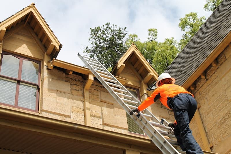 Roof and Gutter Cleaning Sydney gutter cleaning work in Haberfield