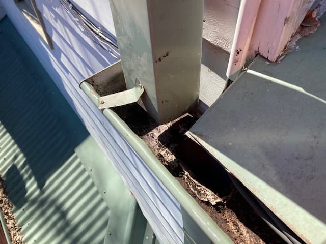 Roof and Gutter Cleaning Sydney gutter cleaning work in Haberfield