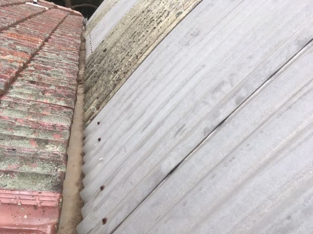 Roof and Gutter Cleaning Sydney gutter cleaning work in Haberfield