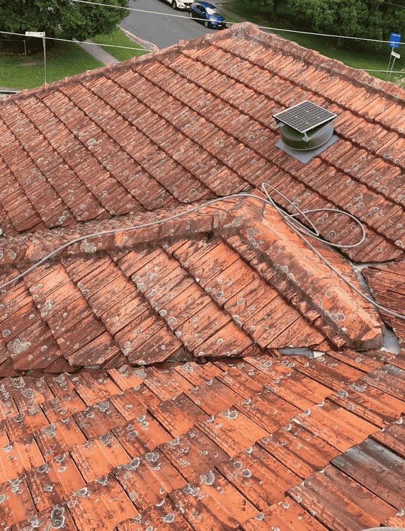 Roof Cleaners Brisbane solar panel cleaning work in Coorparoo