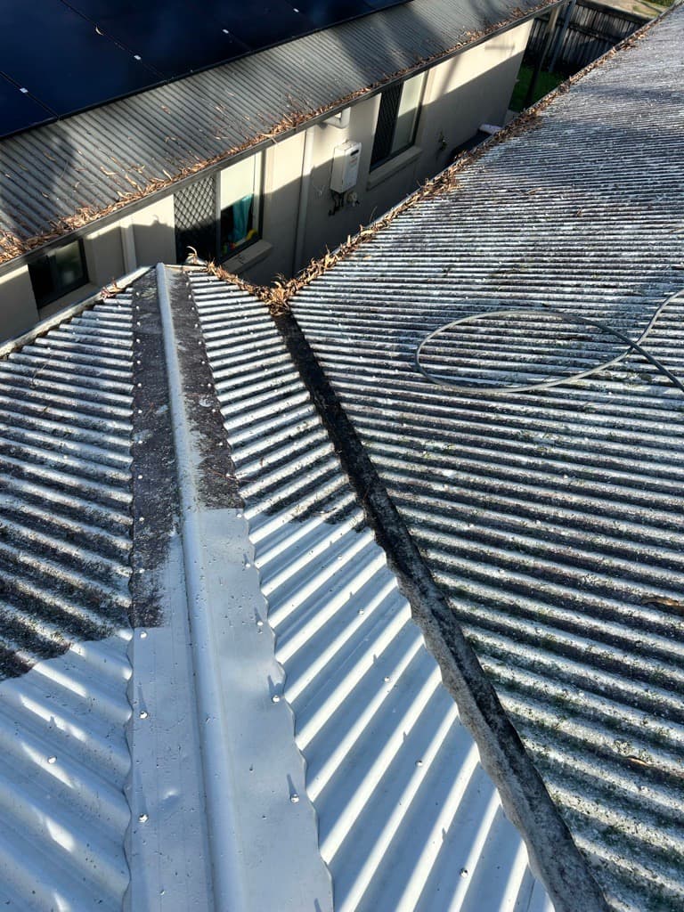 Roof Cleaners Brisbane solar panel cleaning work in Coorparoo