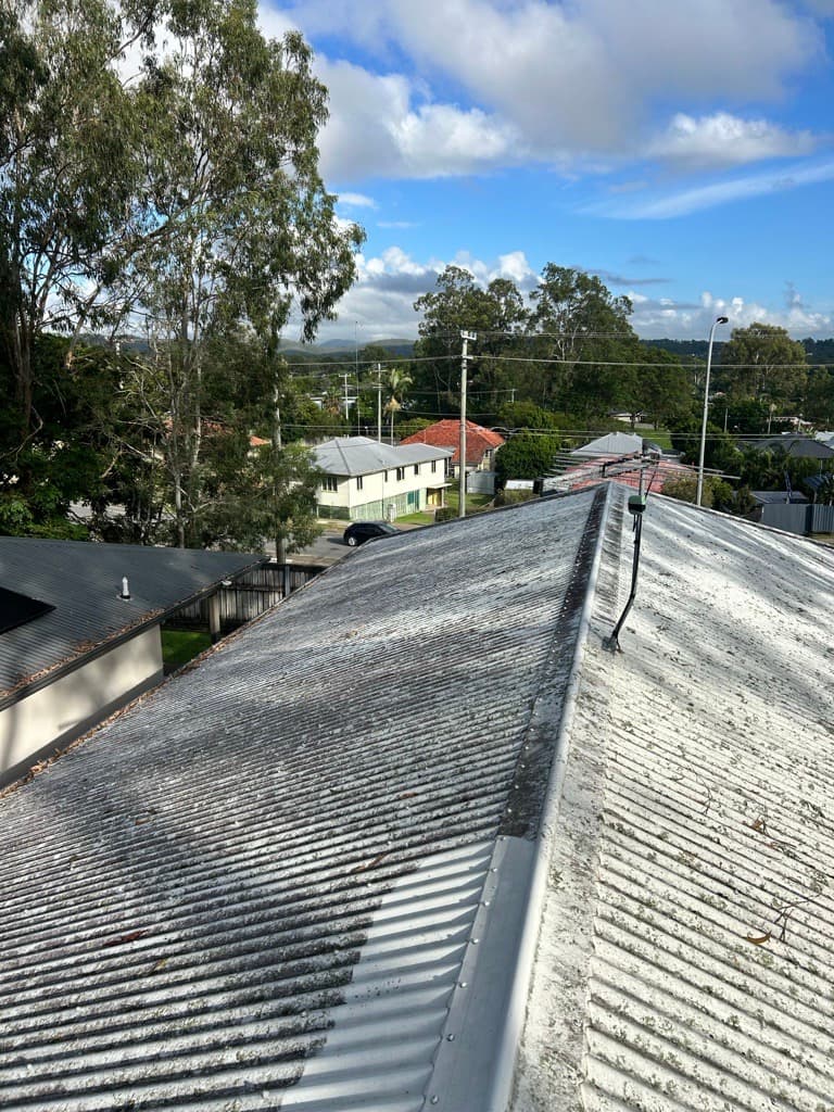 Roof Cleaners Brisbane solar panel cleaning work in Coorparoo