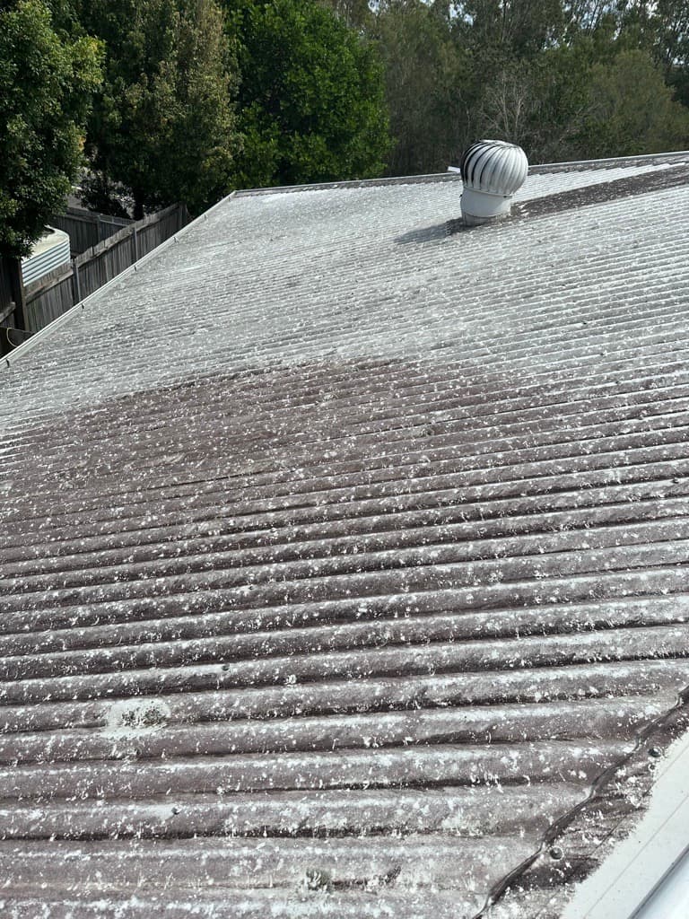 Roof Cleaners Brisbane solar panel cleaning work in Coorparoo