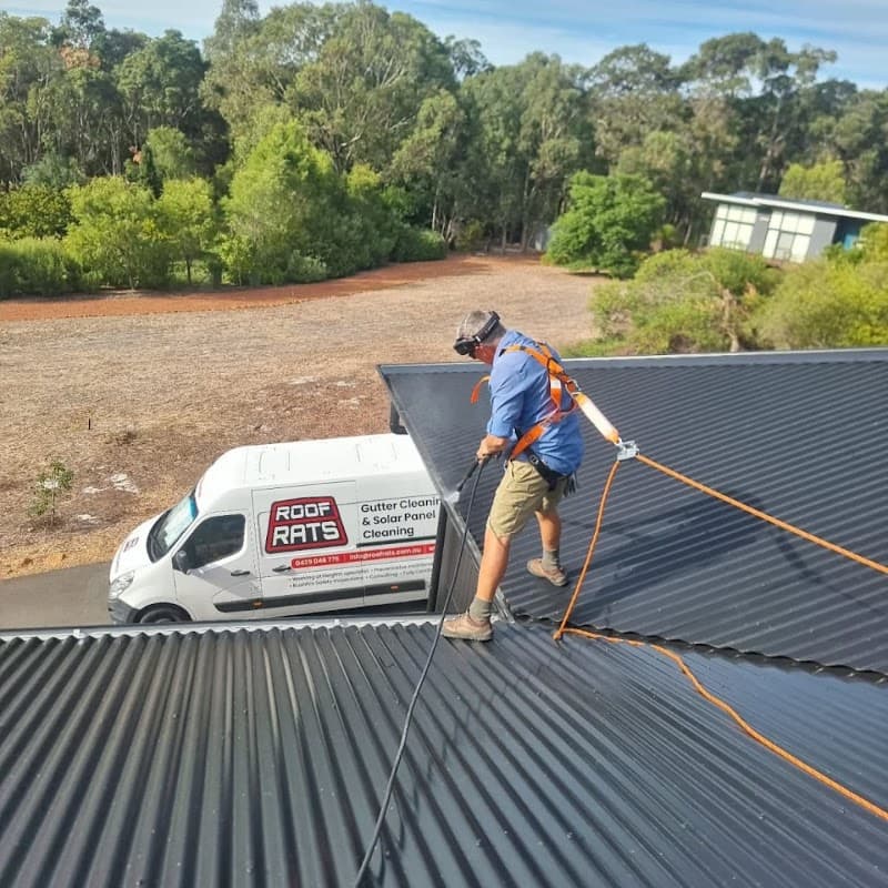 Roof Rats - Gutter Cleaning gutter cleaning work in Yallingup
