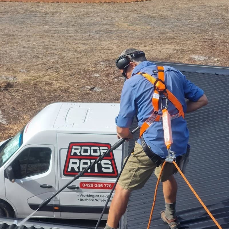 Roof Rats - Gutter Cleaning gutter cleaning work in Yallingup