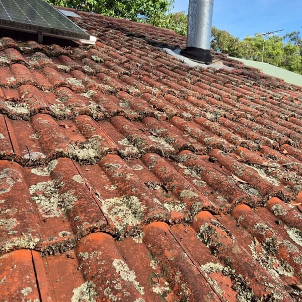 Roofmate External Cleaning (REC) gutter cleaning work in Wentworth Falls