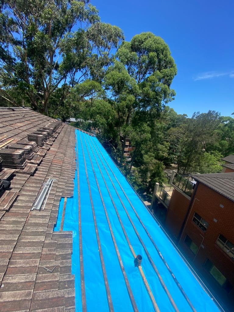 RoofOz roofing work in Alexandria