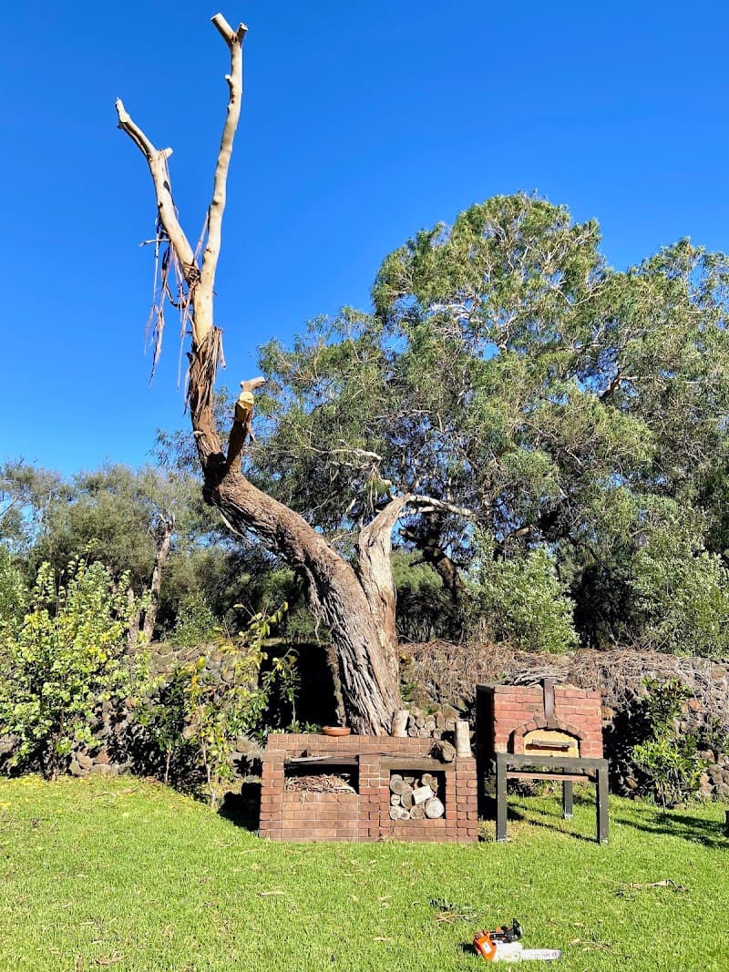 Rosebud Tree Service tree services work in Rosebud