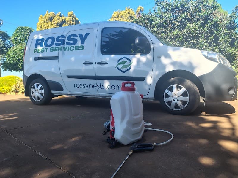 Rossy Pest Services pest control work in North Geelong
