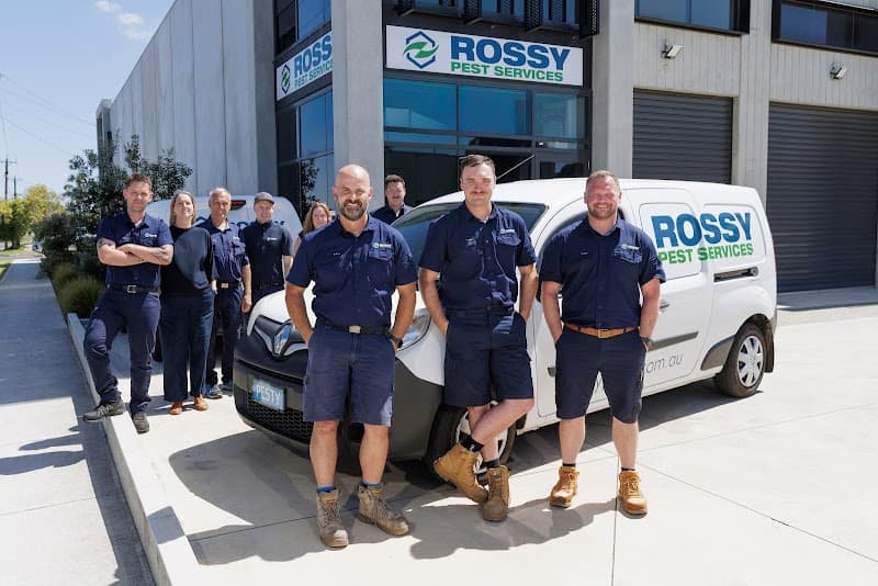 Rossy Pest Services pest control work in North Geelong