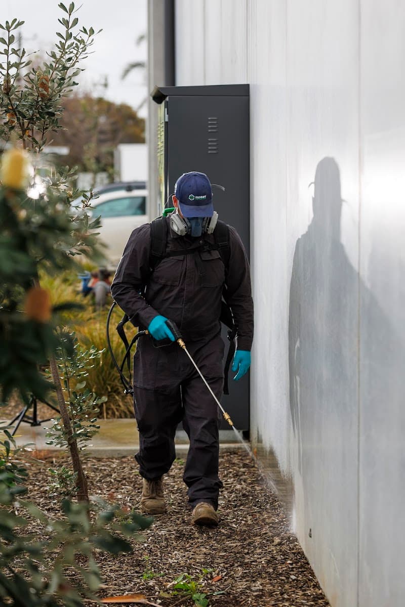 Rossy Pest Services pest control work in North Geelong
