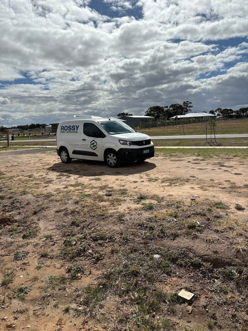 Rossy Pest Services pest control work in North Geelong