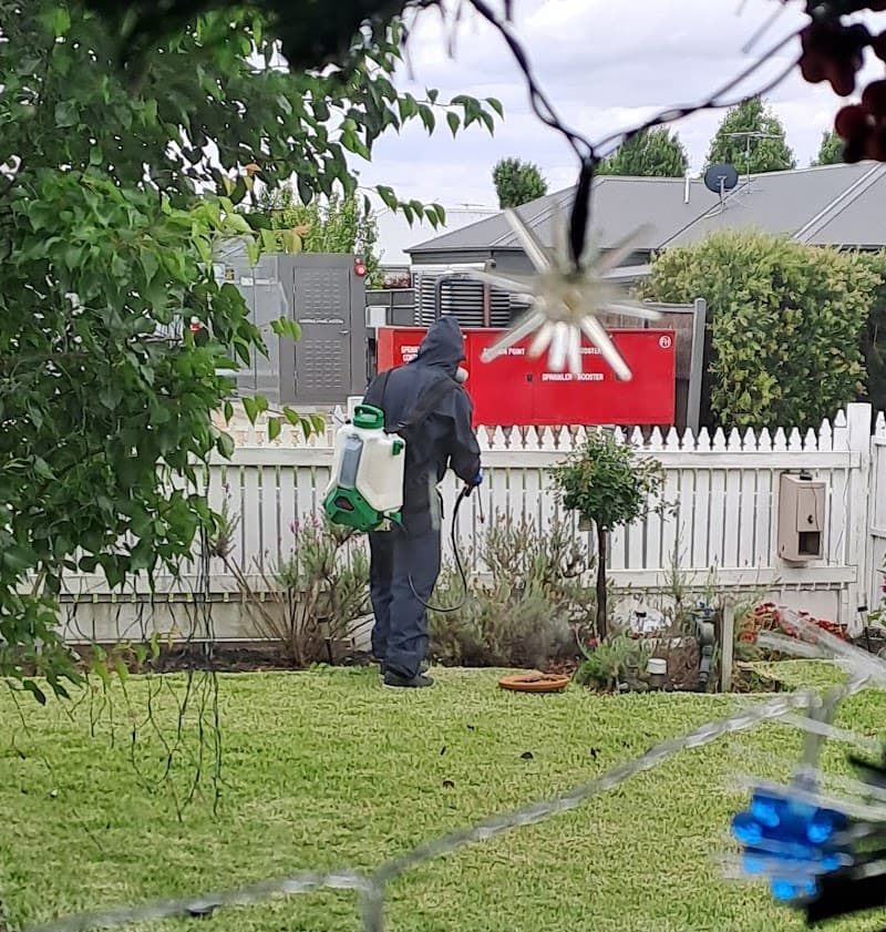 Rossy Pest Services pest control work in North Geelong