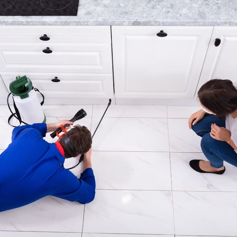 Rowville Pest Control pest control work in Rowville