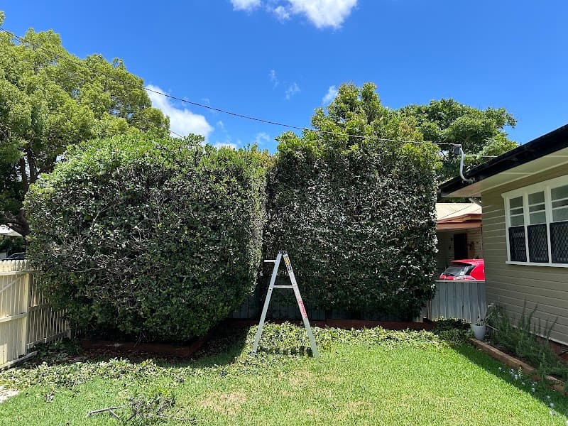 Roy’s Yard Services lawn care work in Rockville