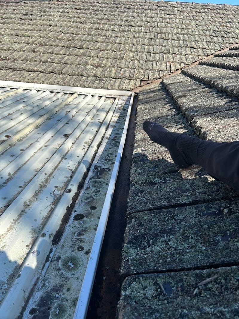 RPC Solutions pressure washing work in Surry Hills