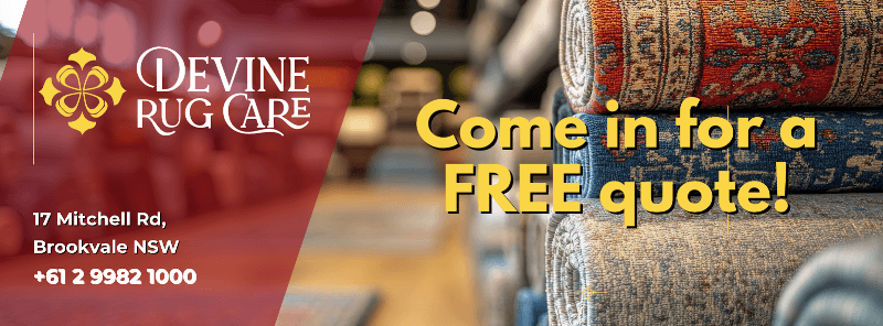 Rug Clean carpet cleaning work in Brookvale