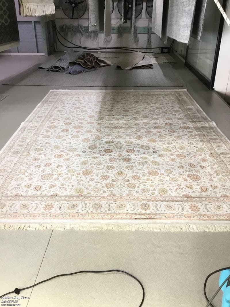 Rug Clean carpet cleaning work in Brookvale