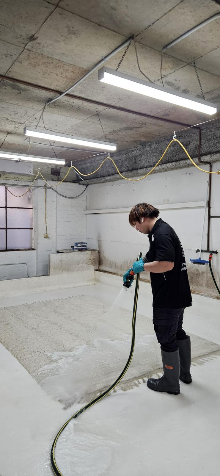 Rug Clean carpet cleaning work in Brookvale