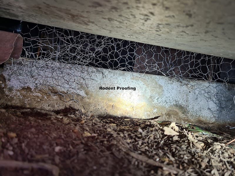 Russell's Pest Control pest control work in Broadview