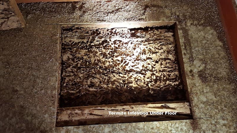 Russell's Pest Control pest control work in Broadview