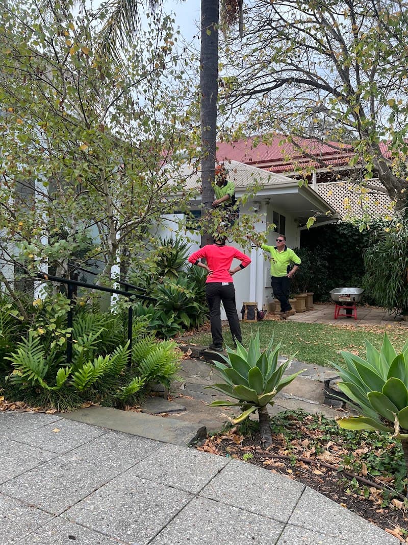 SA Tree Recyclers tree services work in Hackham