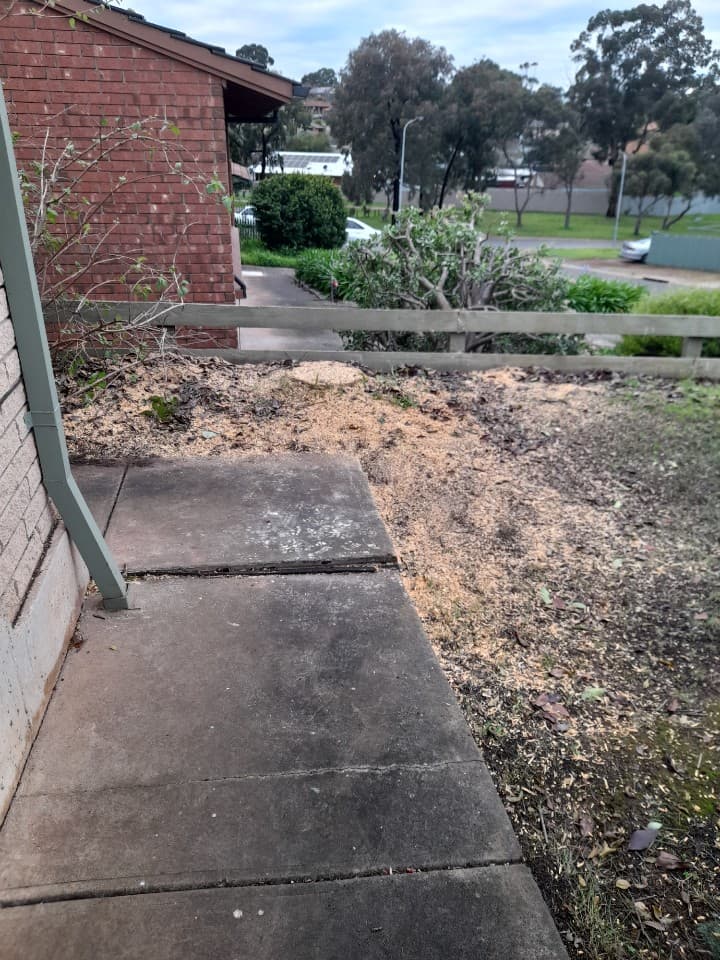 SA Tree Recyclers tree services work in Hackham