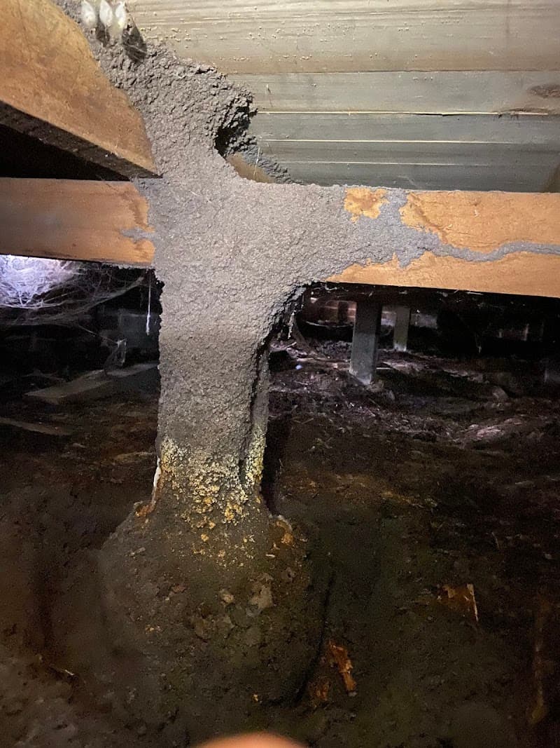 Safe Side Termite and Pest Control pest control work in Somerville