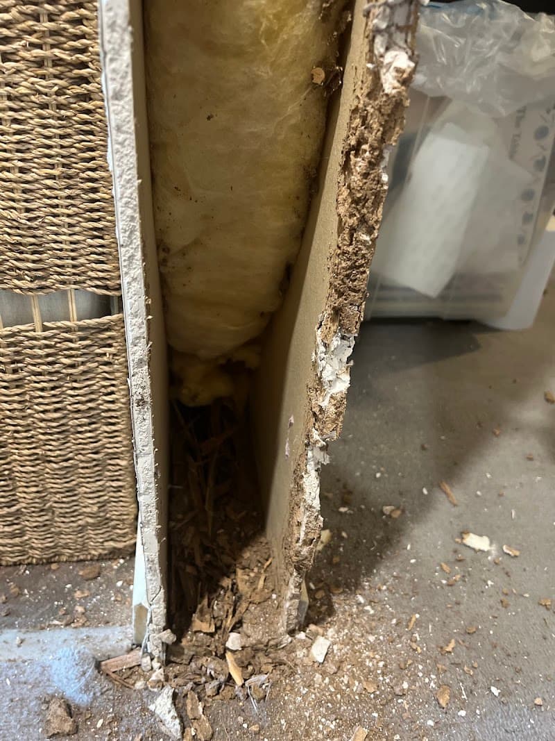 Safe Side Termite and Pest Control pest control work in Somerville