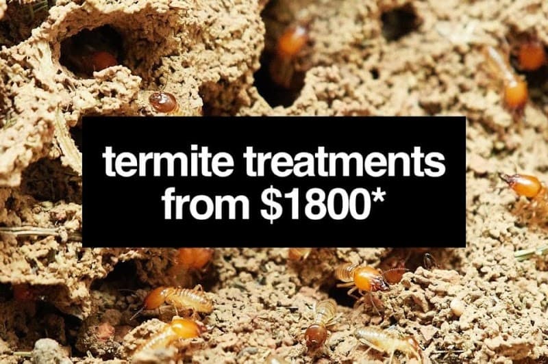 Safe Side Termite and Pest Control pest control work in Somerville