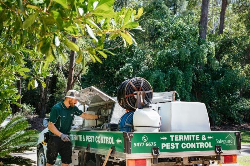 Safeguard Pest Control pest control work in Baringa
