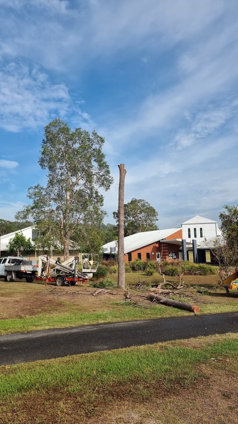Safeway Tree Service tree services work in Shailer Park
