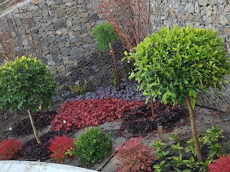Saladin Tree Solutions tree services work in Prospect