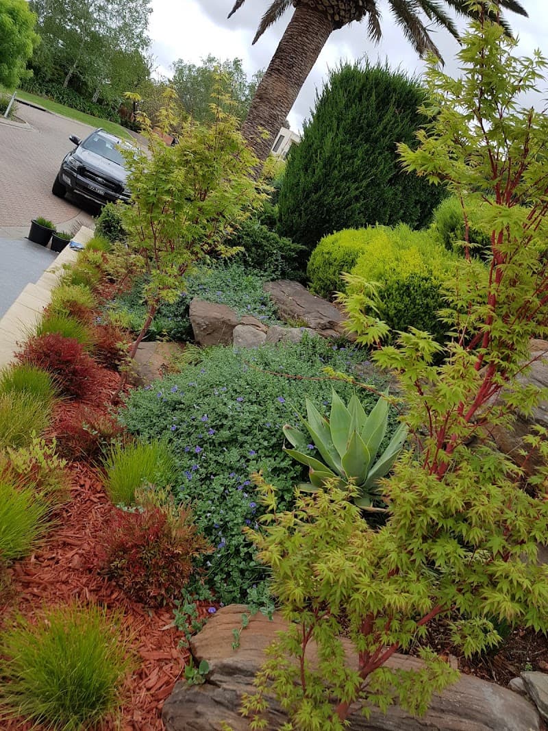 Saladin Tree Solutions tree services work in Prospect