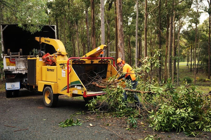 Sam The Tree Man tree services work in Sheldon