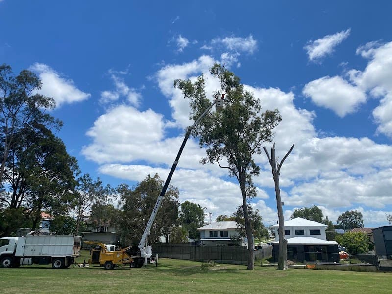 Sam The Tree Man tree services work in Sheldon