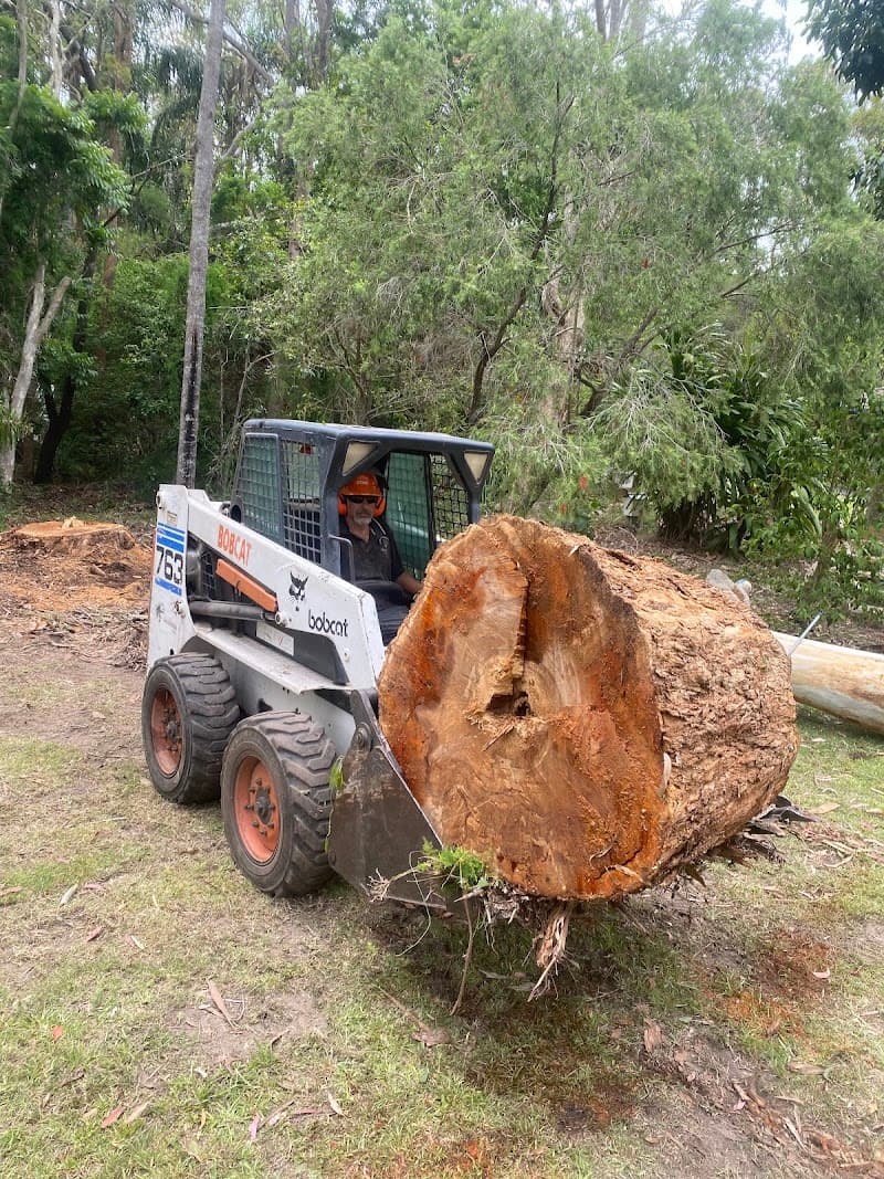 Sam The Tree Man tree services work in Sheldon