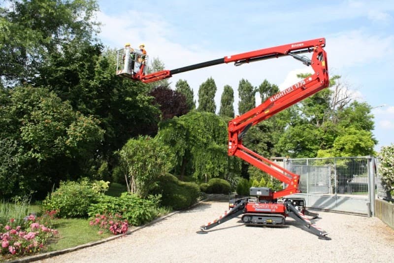 Same Day Tree Works tree services work in Hawthorn