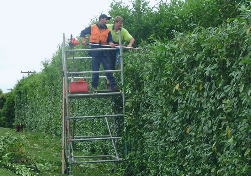 Same Day Tree Works tree services work in Hawthorn