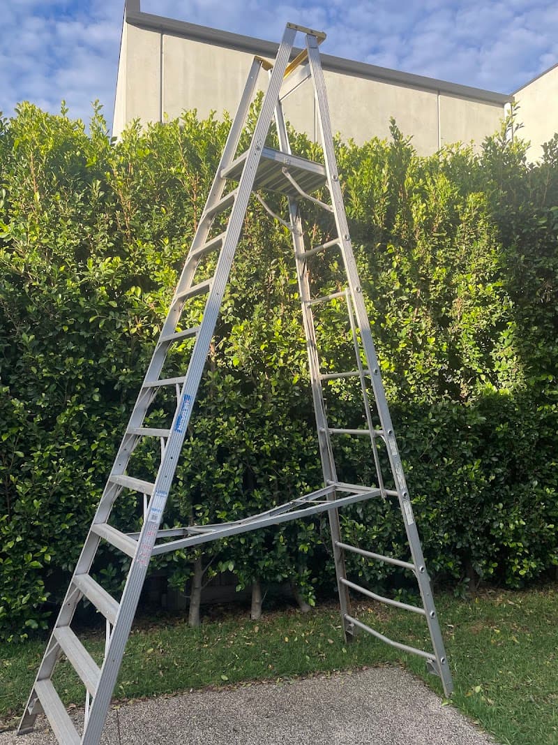 Same Day Tree Works tree services work in Hawthorn