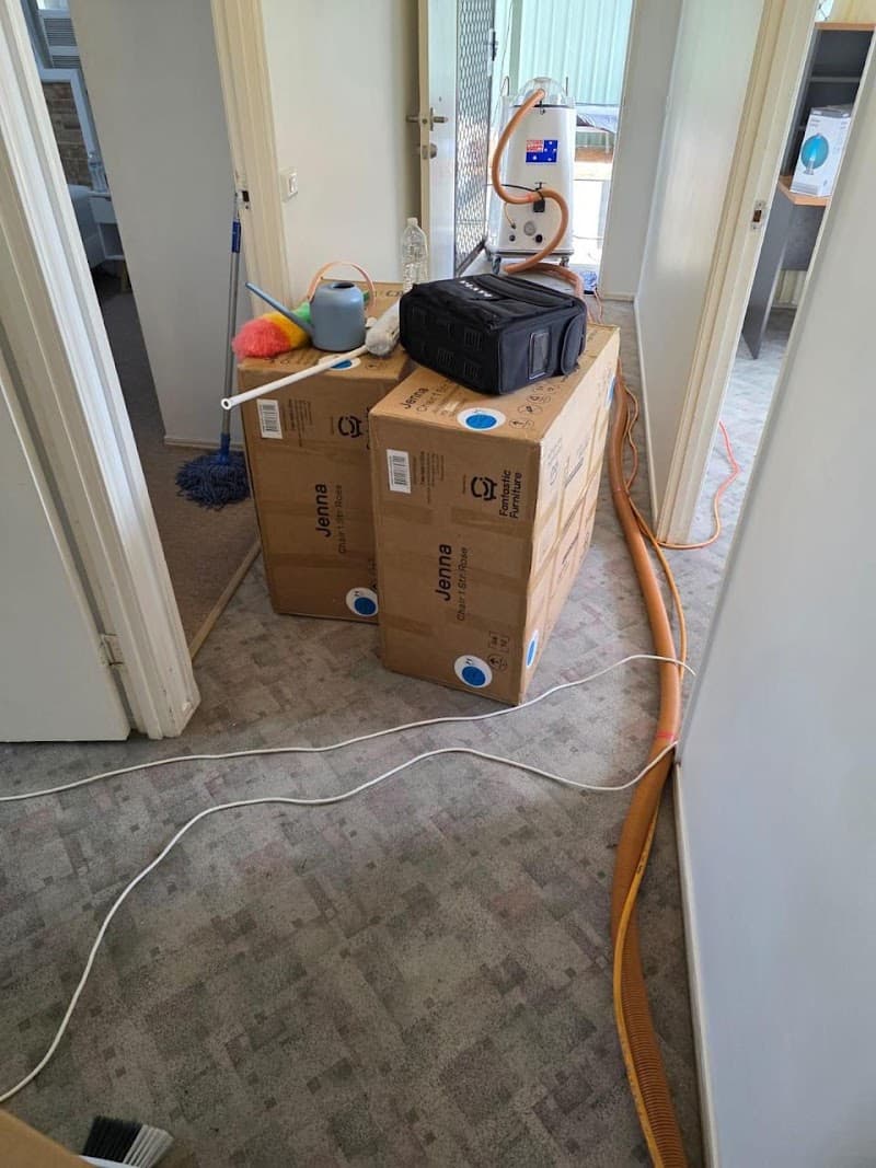 SanClassic Cleaning Service carpet cleaning work in Lakes Creek