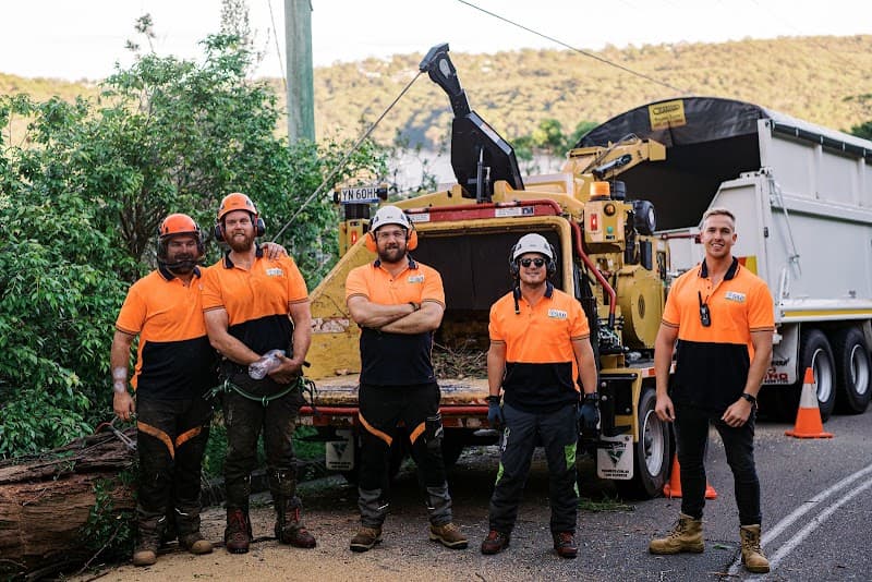 S&B Tree Services Northern Beaches tree services work in Brookvale