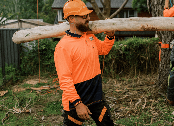 S&B Tree Services Northern Beaches tree services work in Brookvale