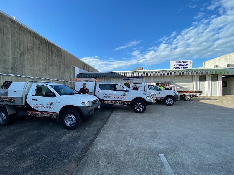 Sandy Straits Pest Control pest control work in Pialba